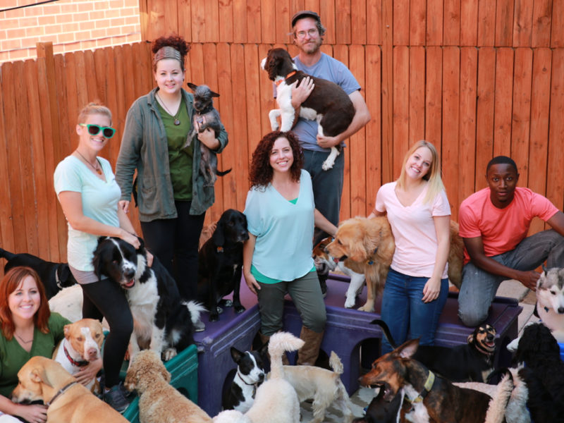 Candace posing with other pet business owners and a large group of dogs