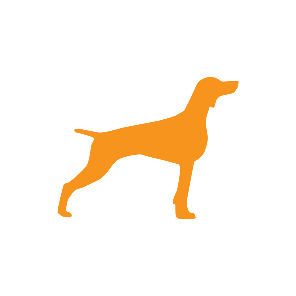 yellow dog icon