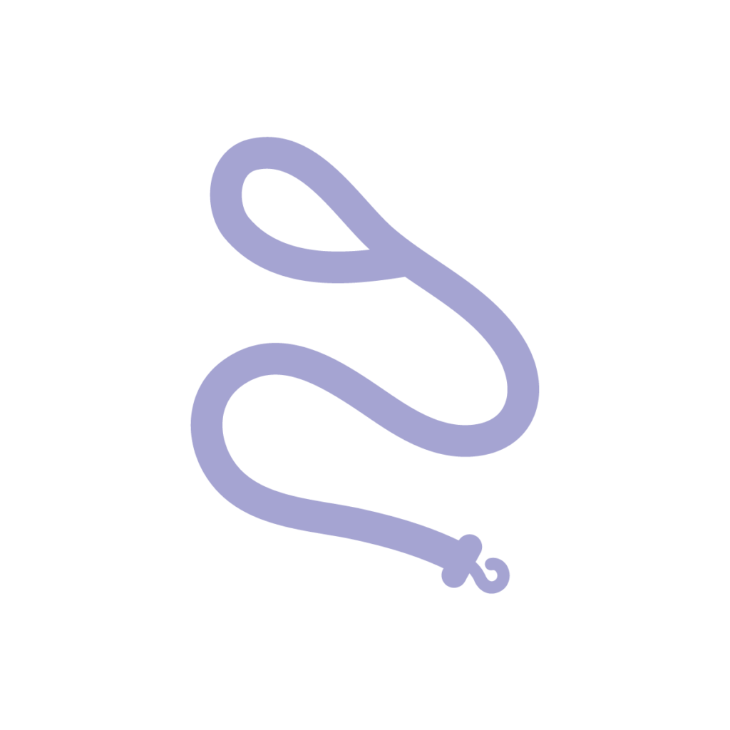 purple leash icon