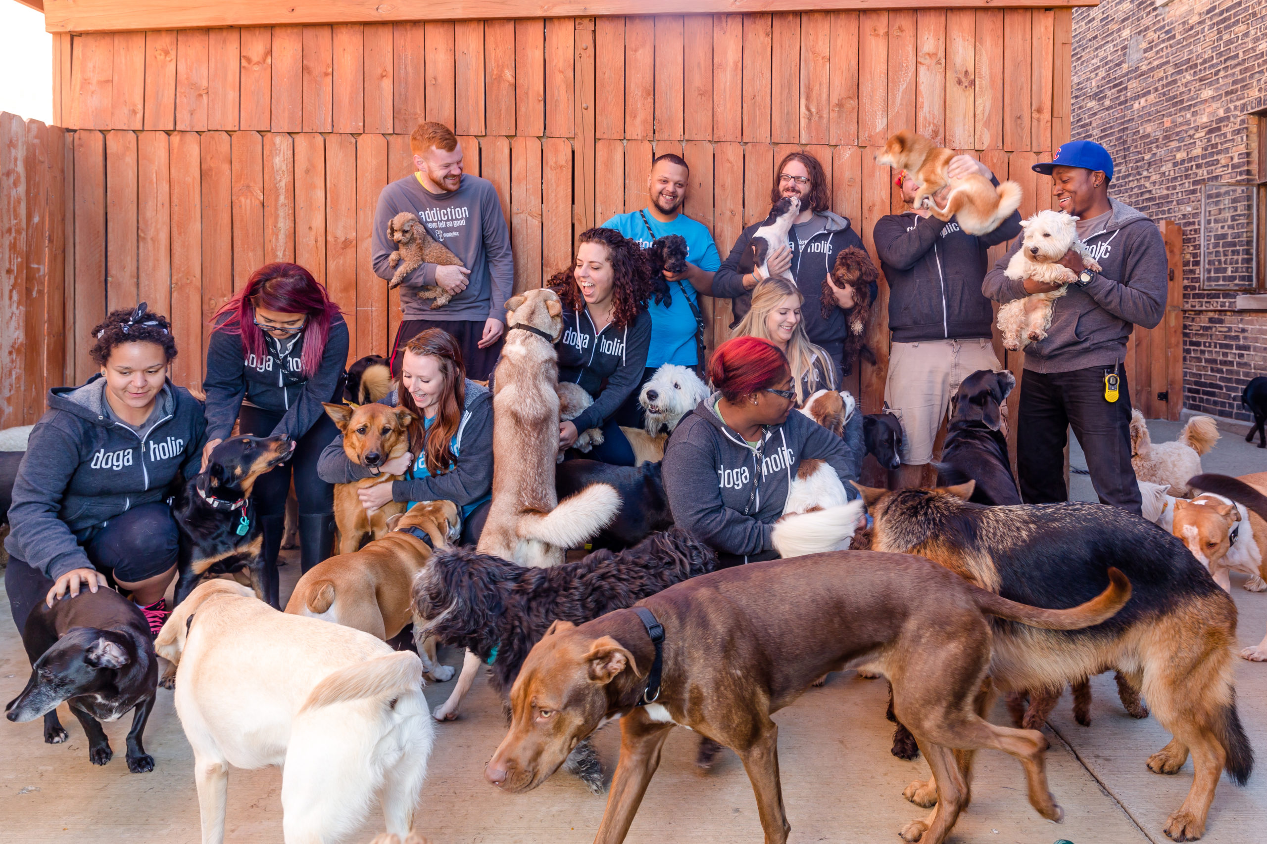 Group of people and dogs all standing together for a photo