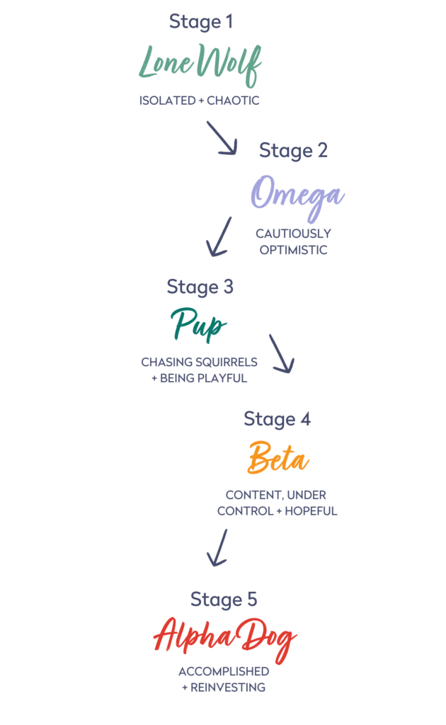 Pet Boss Success Path with a flow chart showing Stage1 the lone wolf, stage 2 the omega, stage 3 the pup, stage 4 the beta, and stage 5 the alpha