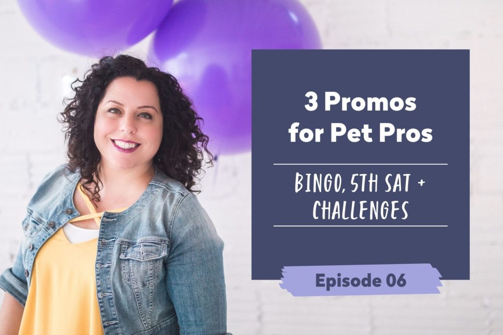 Episode 6 | 3 Promos for Pet Pros – Bingo, 5th Sat Sale & Challenges