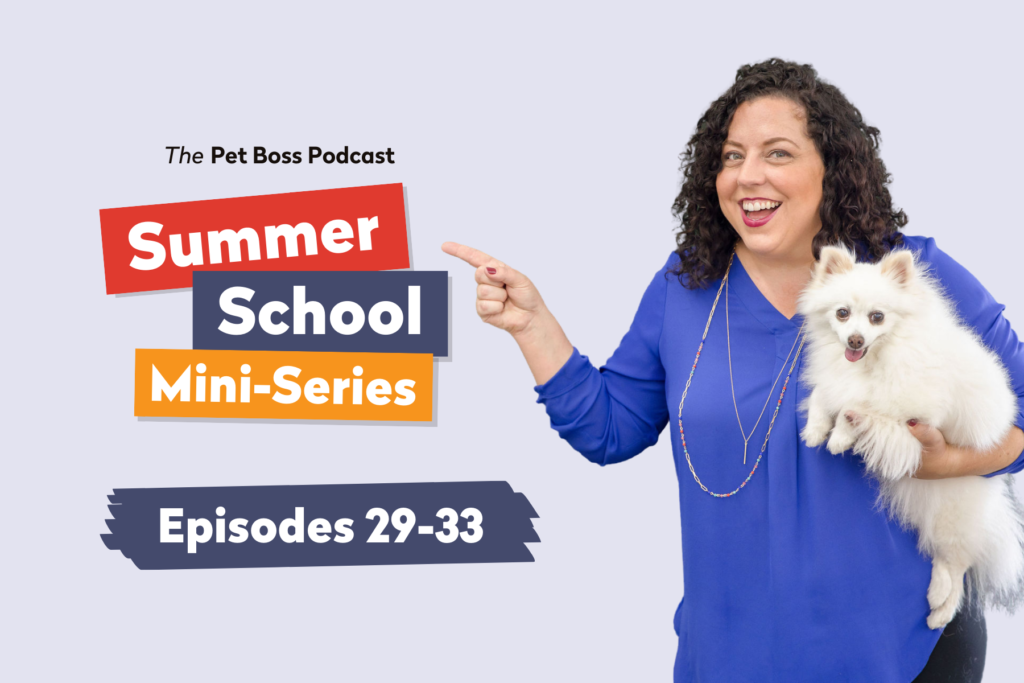 Episode 29-33 | Summer School Mini-Series