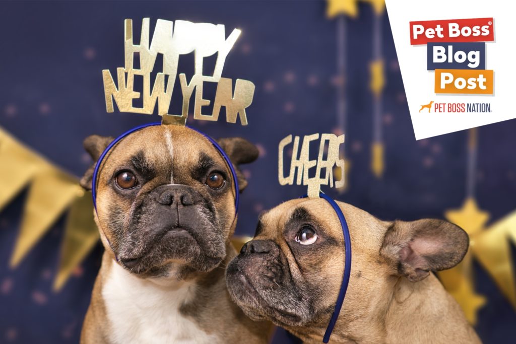 10 Reflection Questions for a Prosperous Year Ahead in Your Pet Business