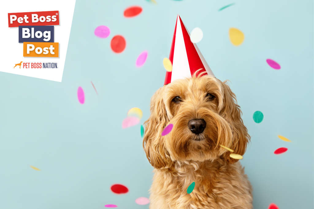 How to Boost Your Bottom Line with Pet Parties & Events