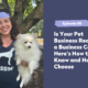 Pet Boss Nation Is Your Pet Business Ready For a Business Coach? Here’s How to Know and How to Choose