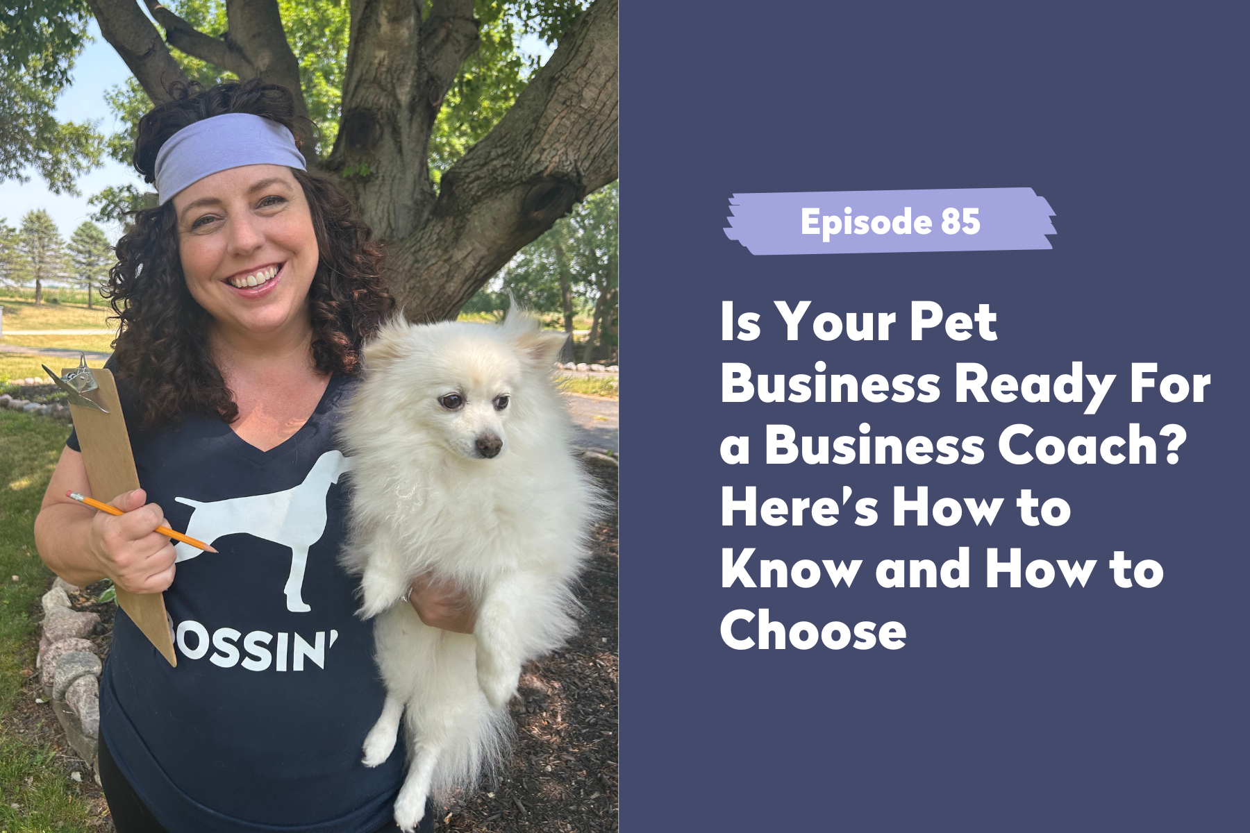 Episode 85: Is Your Pet Business Ready For a Business Coach? Here’s How to Know and How to Choose