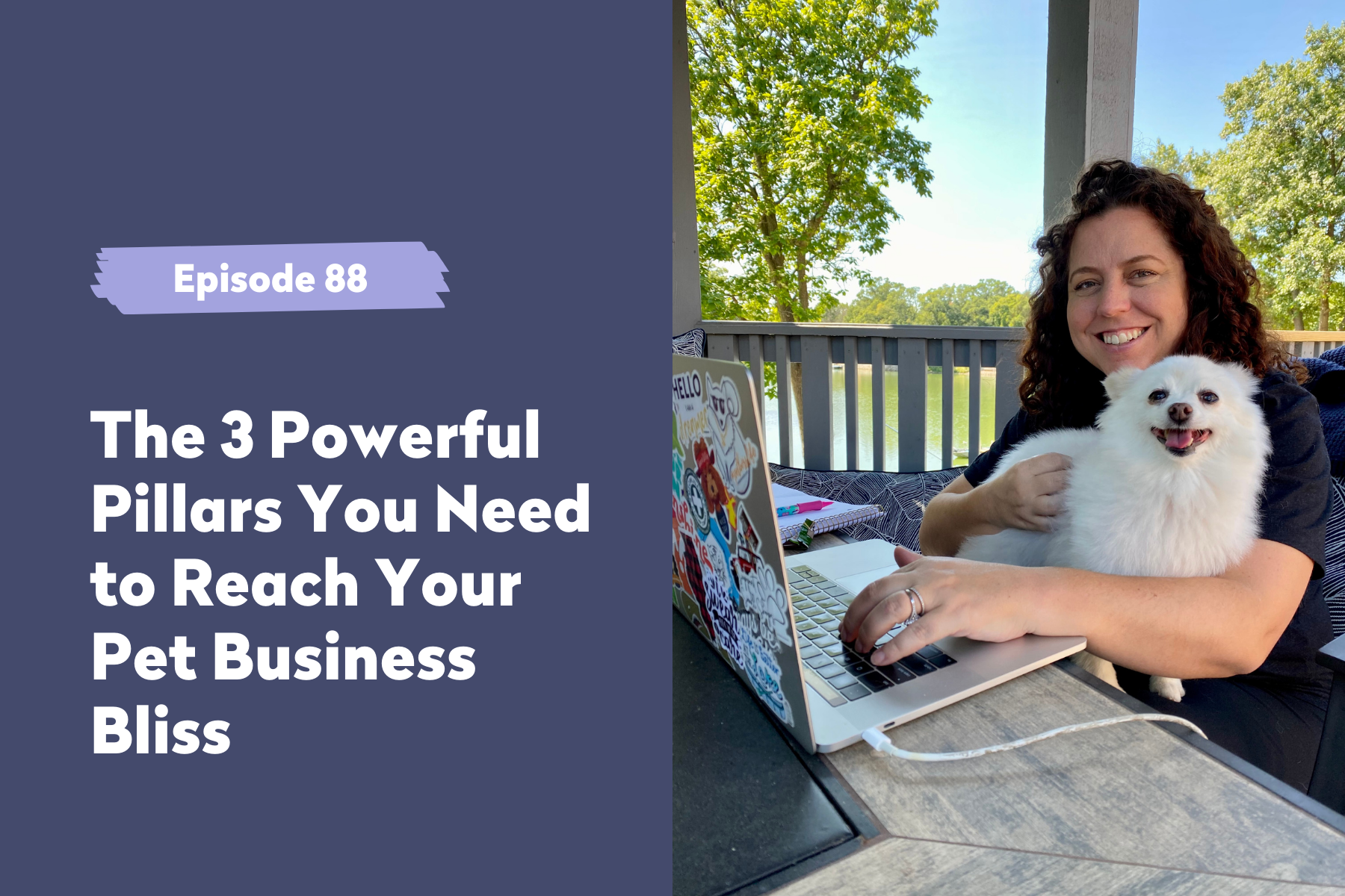 Episode 88 | The 3 Powerful Pillars You Need to Reach Your Pet Business Bliss