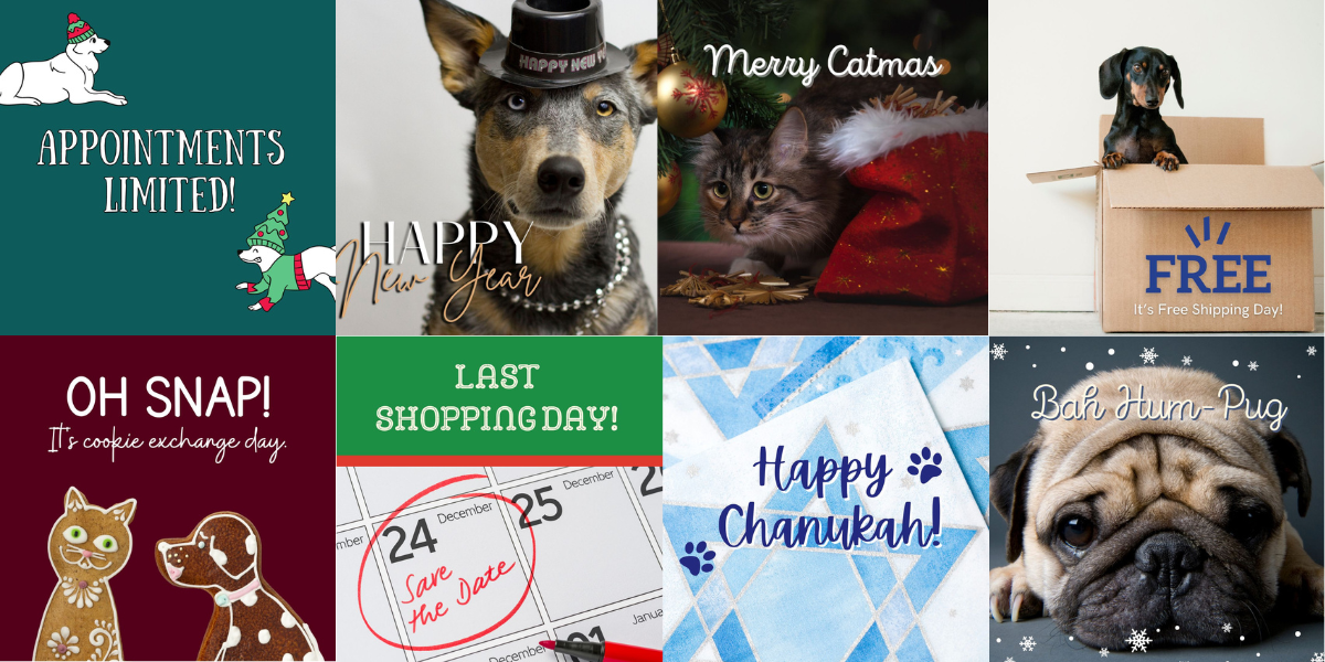 A sneak peek at December 2023 Holidays in the Pet Boss Club®!