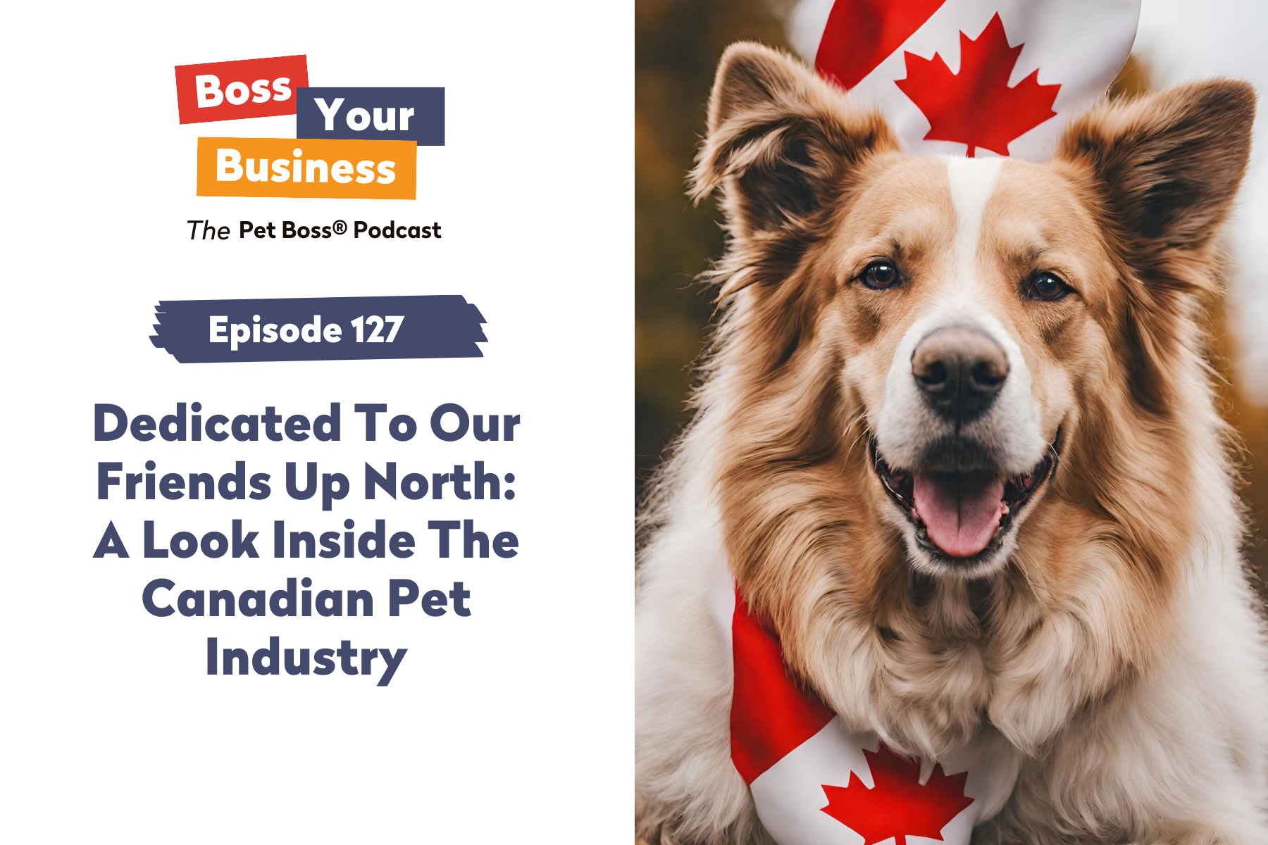 Episode 127 | Dedicated To Our Friends Up North: A Look Inside The Canadian Pet Industry