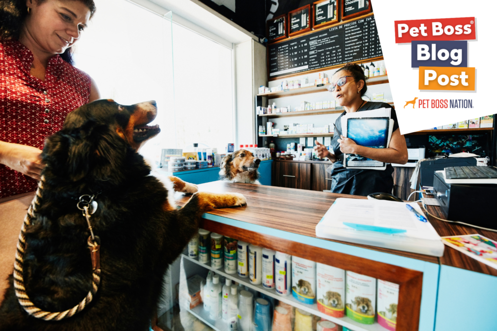 5 Things To Do In Q3 To Prepare Your Pet Business For Profitable Q4 Money Months