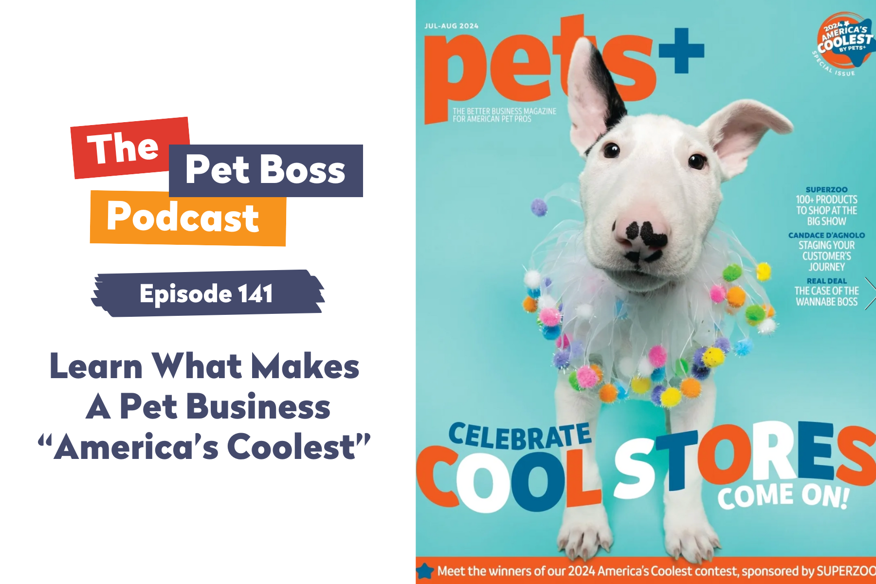 Pet Boss Podcast Episode 141 Learn What Makes A Pet Business America’s Coolest