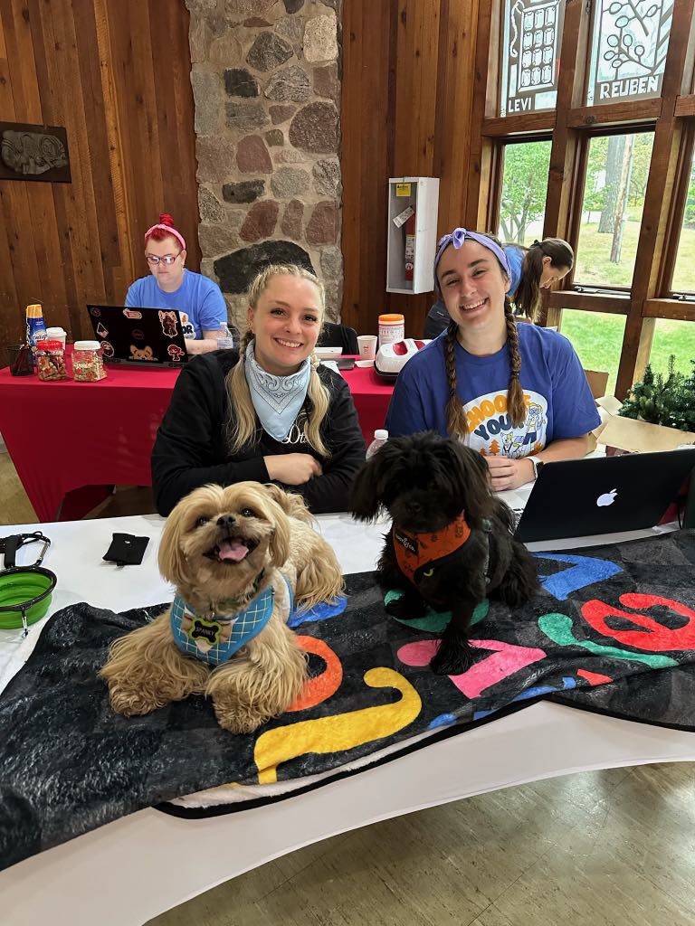 Camp Pet Boss Campers Learning With Dogs