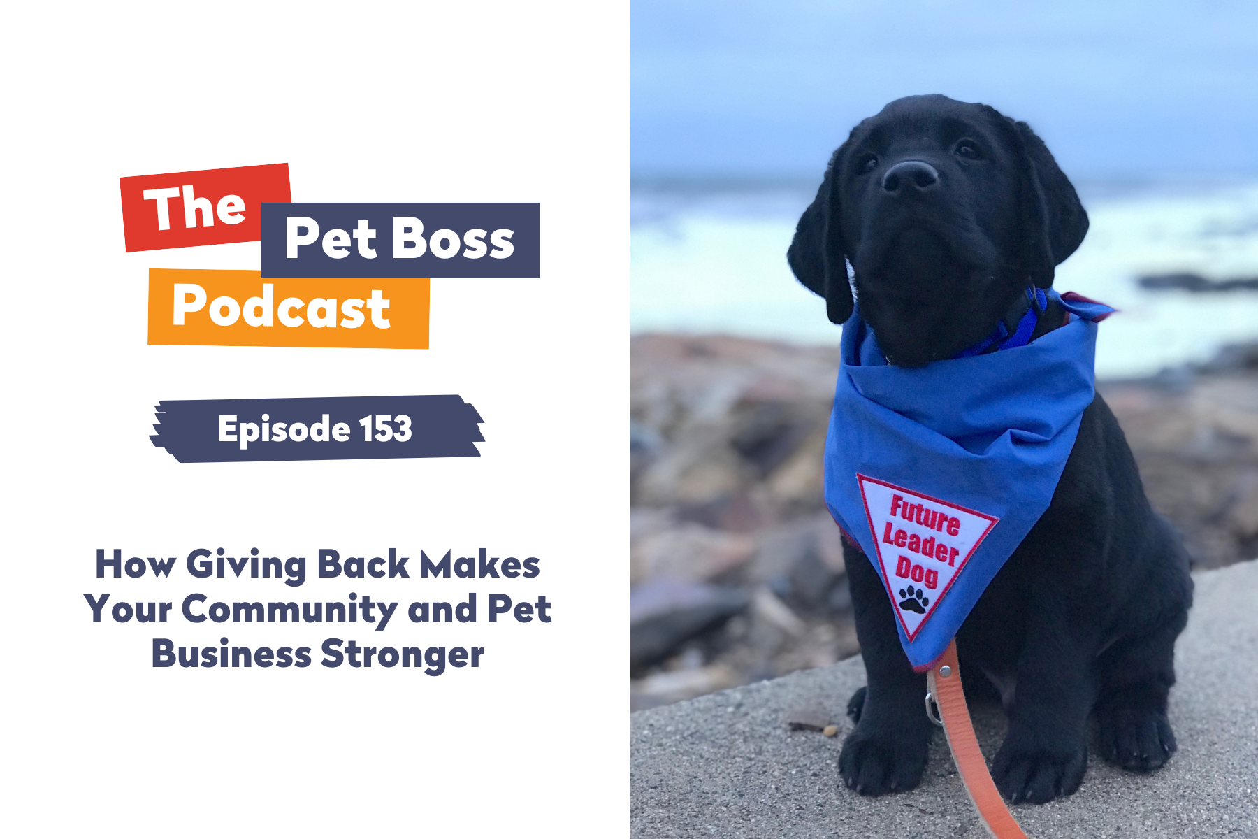 Episode 153 How Giving Back Makes Your Community and Pet Business Stronger